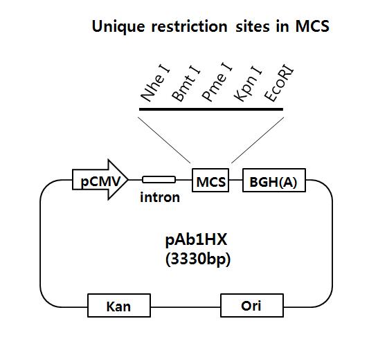 fig1.jpg