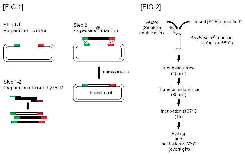 AnyFusion Overview.jpg